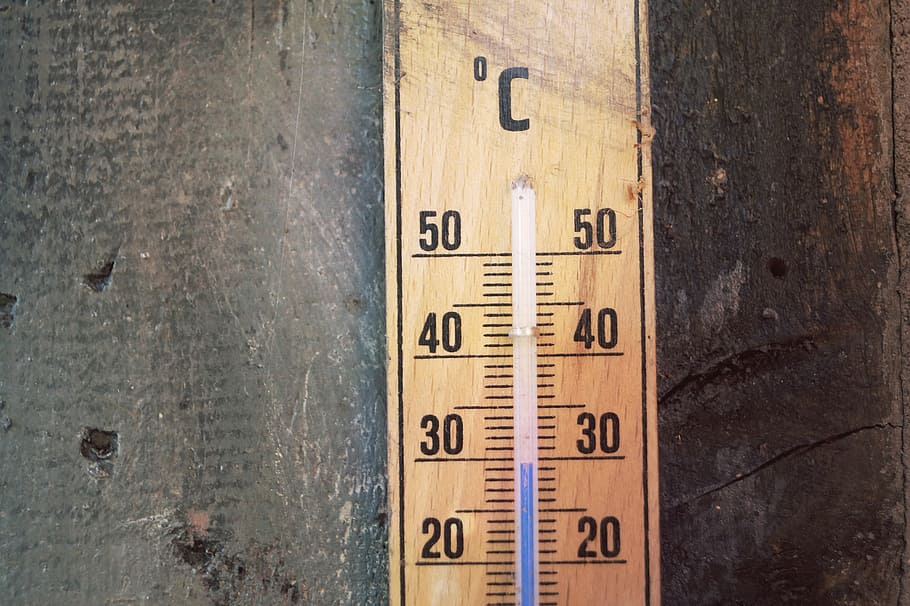 thermometer-temperature-degrees-celsius-scale